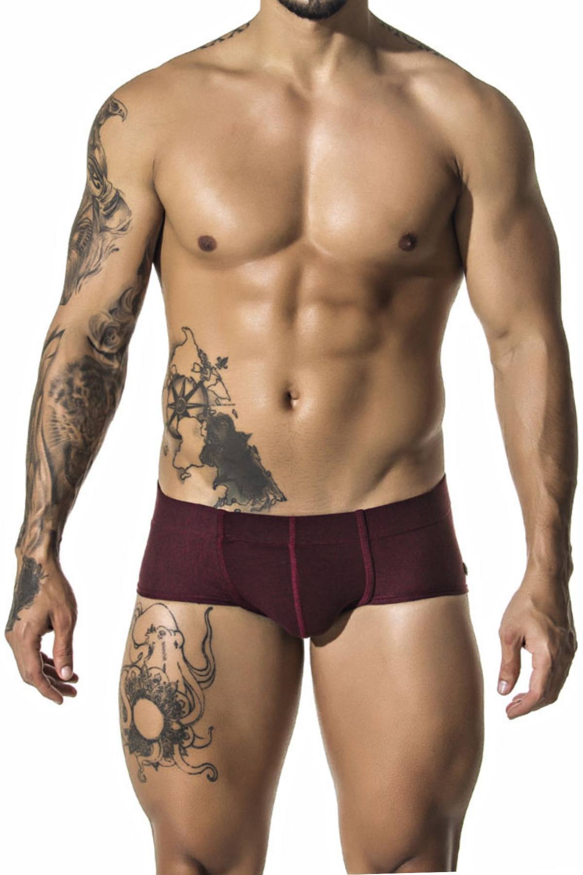 Gigo Wine Confort Trunk