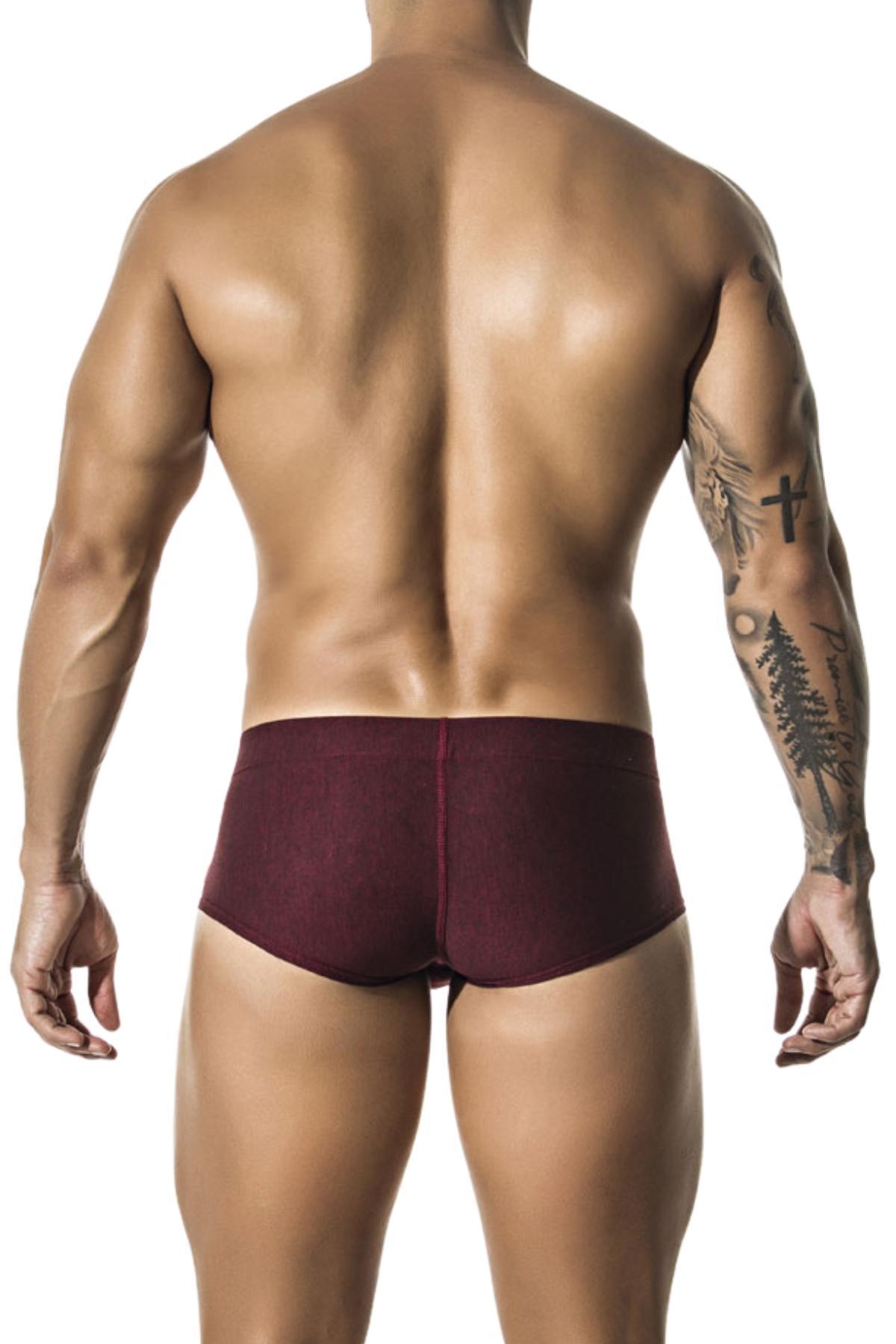 Gigo Wine Confort Trunk