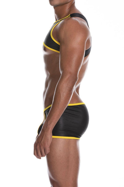 Gigo Yellow Latin Harness