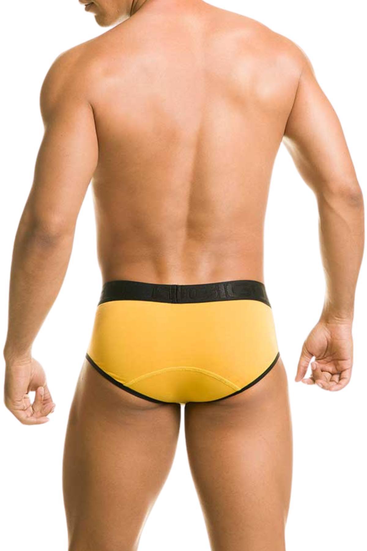 Gigo Yellow Zone Brief