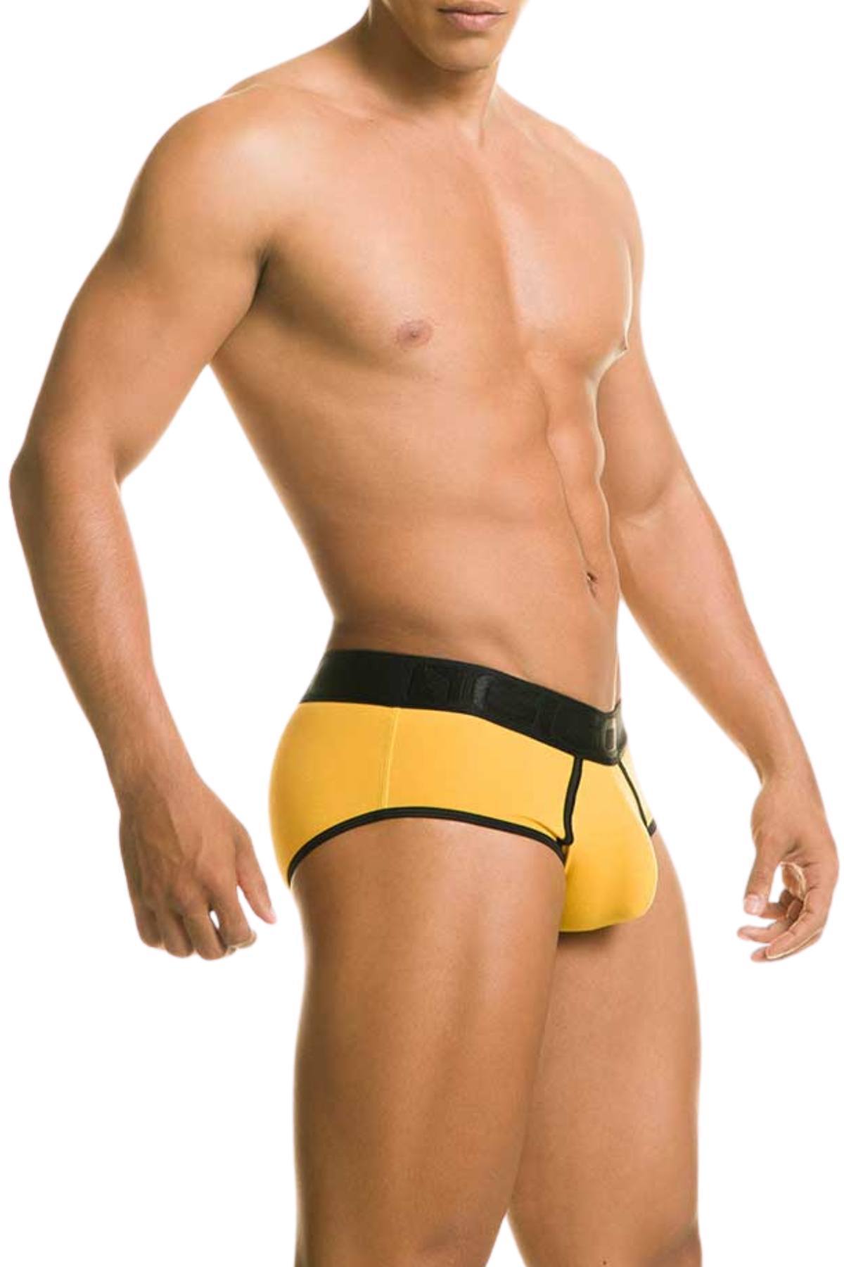 Gigo Yellow Zone Brief