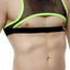 PetitQ Black/Lime Taranis Harness