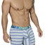 XTREMEN Blue/White/Green Striped Microfiber Boxer Brief