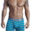 XTREMEN Jade-Green Stripe Open-Fly Microfiber Boxer Brief