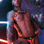 breedwell Neon Orange Akira Body Harness