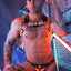 breedwell Neon Orange Akira Body Harness