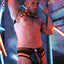 breedwell Neon Orange Akira Body Harness