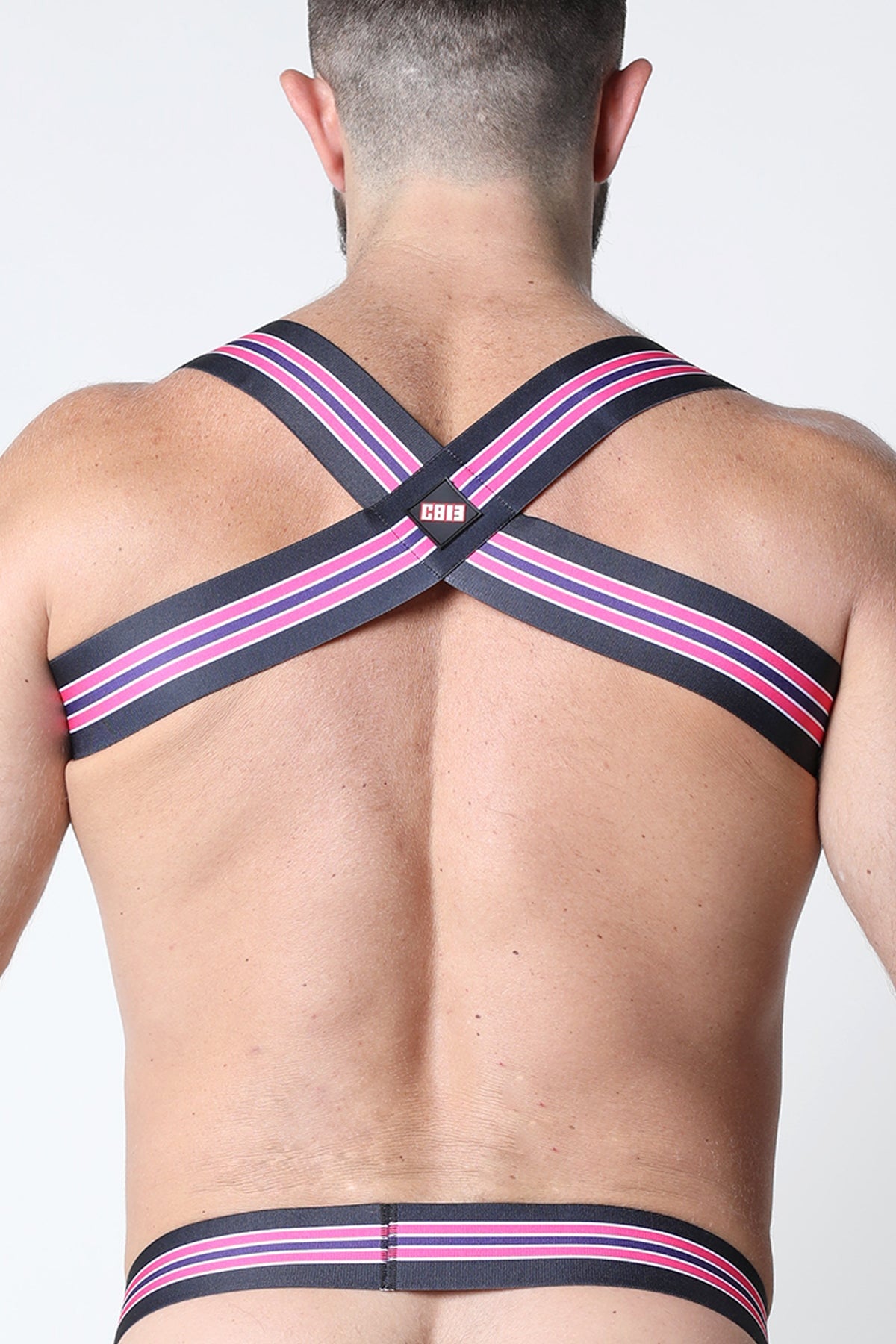 CellBlock 13 Pink Kennel Club Elastic Bandit Harness