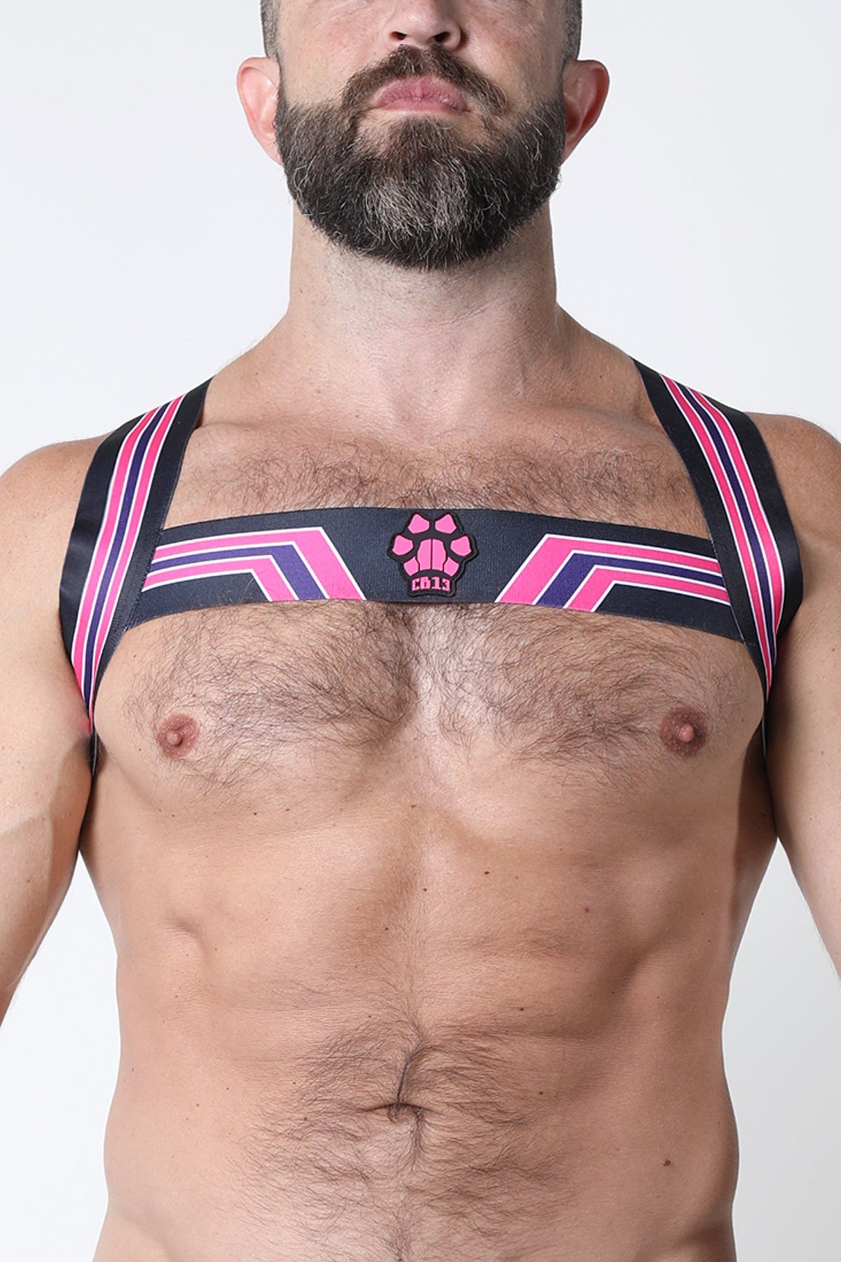 CellBlock 13 Pink Kennel Club Elastic Bandit Harness