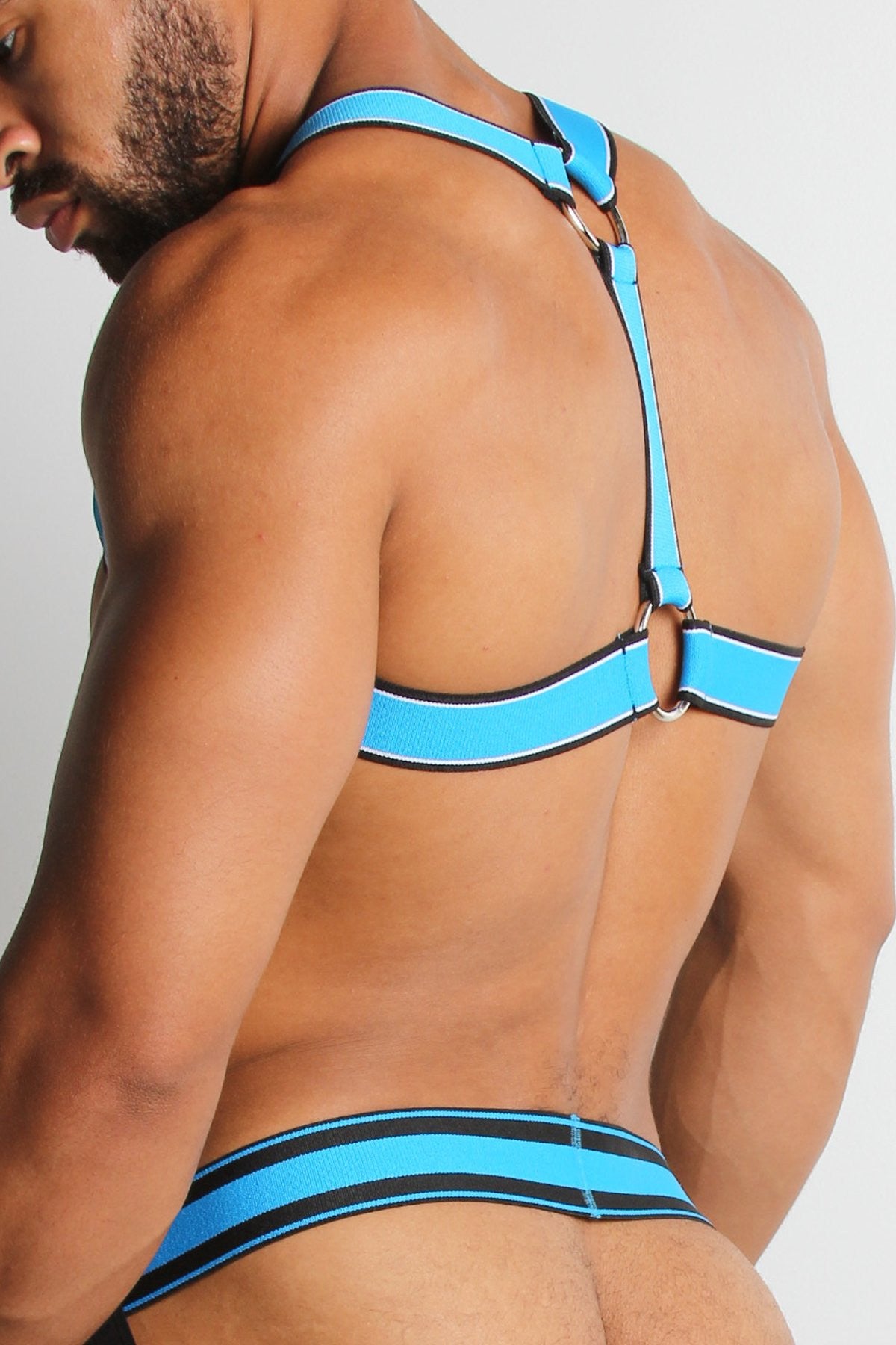 CellBlock13 Blue Kennel Club Scout Harness