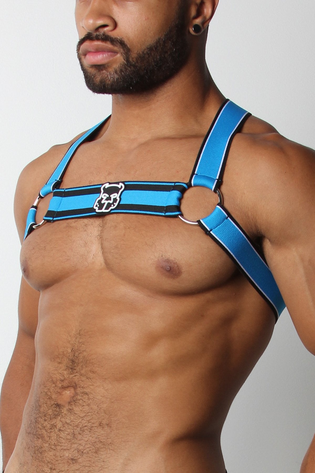 CellBlock13 Blue Kennel Club Scout Harness