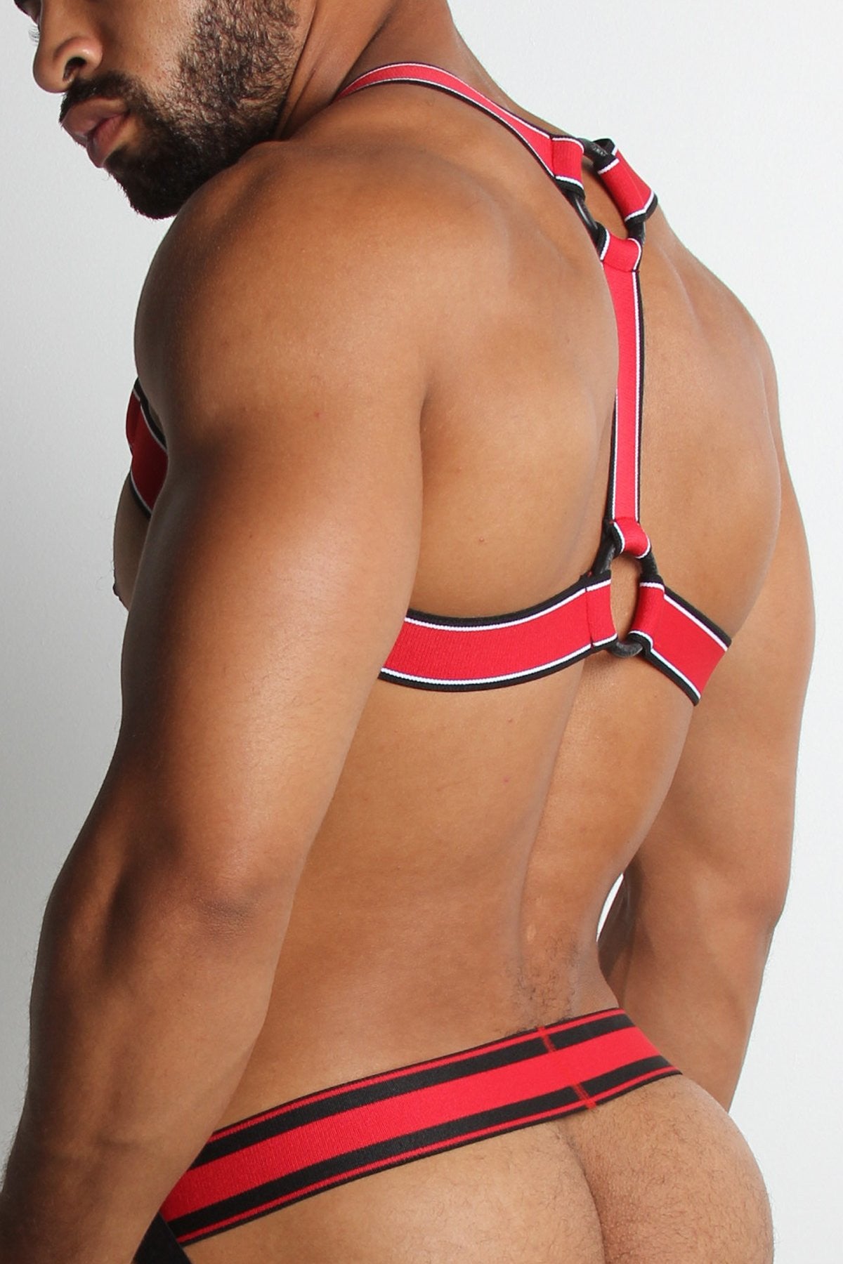 CellBlock13 Red Kennel Club Scout Harness