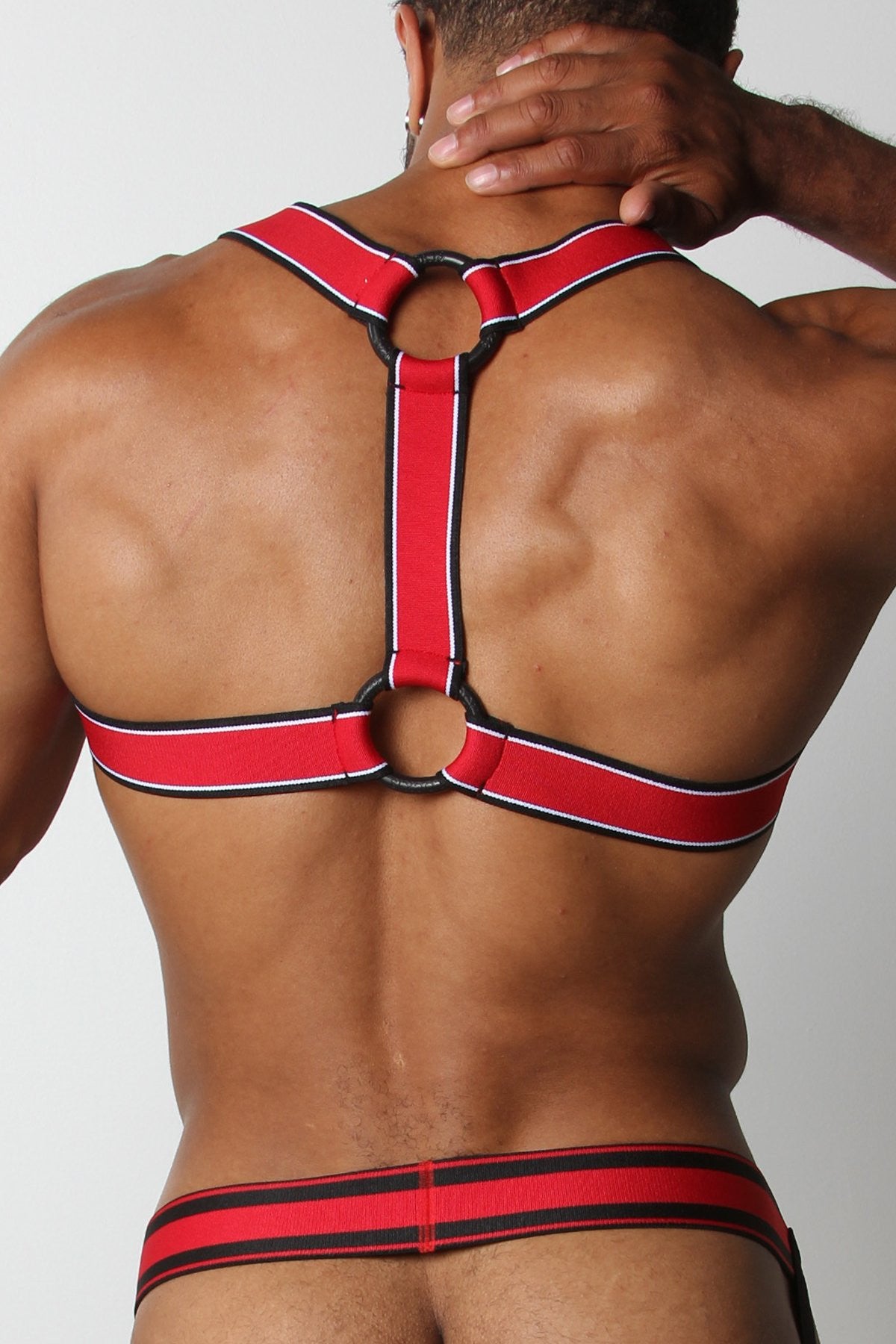 CellBlock13 Red Kennel Club Scout Harness