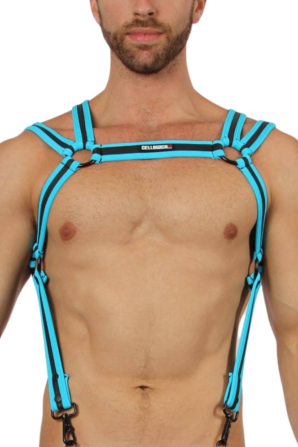 Cellblock 13 Turquoise Trident Harness