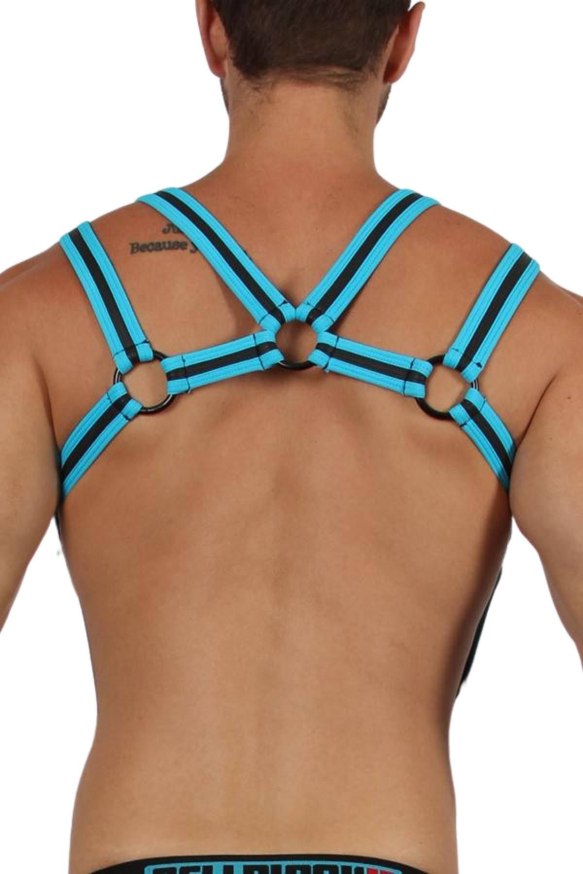 Cellblock 13 Turquoise Trident Harness