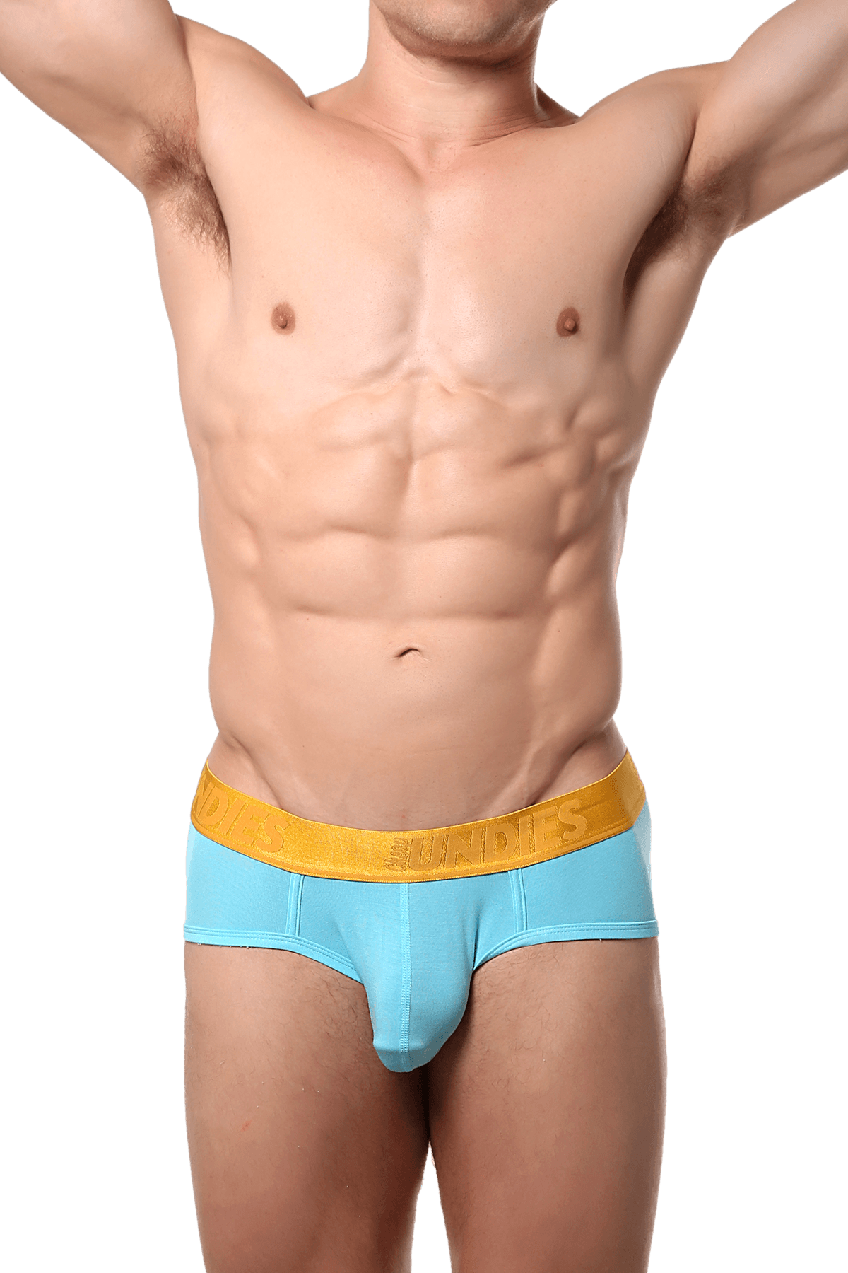 CheapUndies Blue Lux Brief