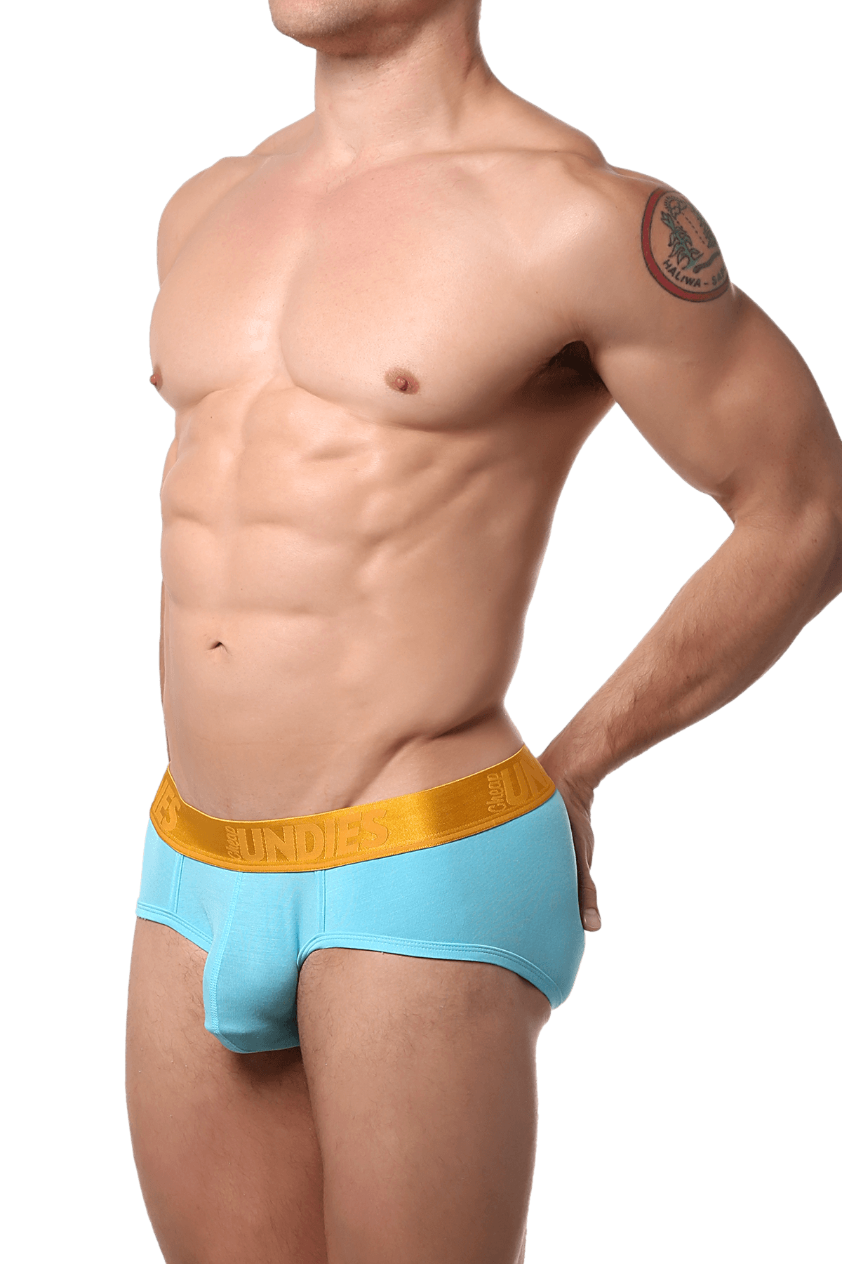 CheapUndies Blue Lux Brief