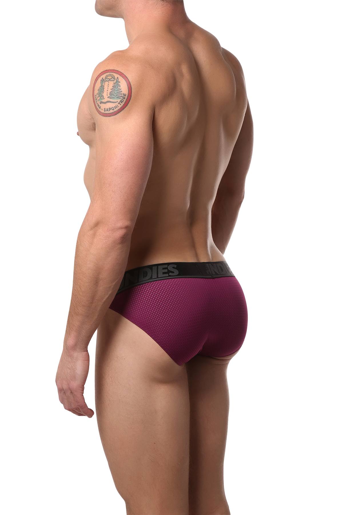 CheapUndies Merlot Mesh Bikini Brief