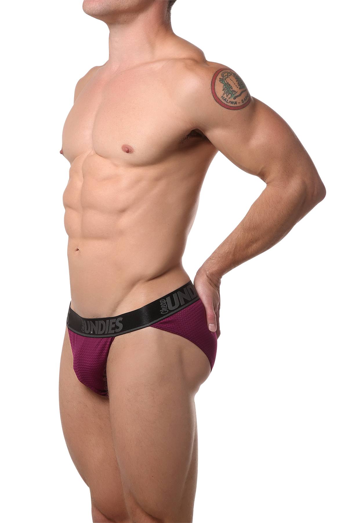 CheapUndies Merlot Mesh Bikini Brief