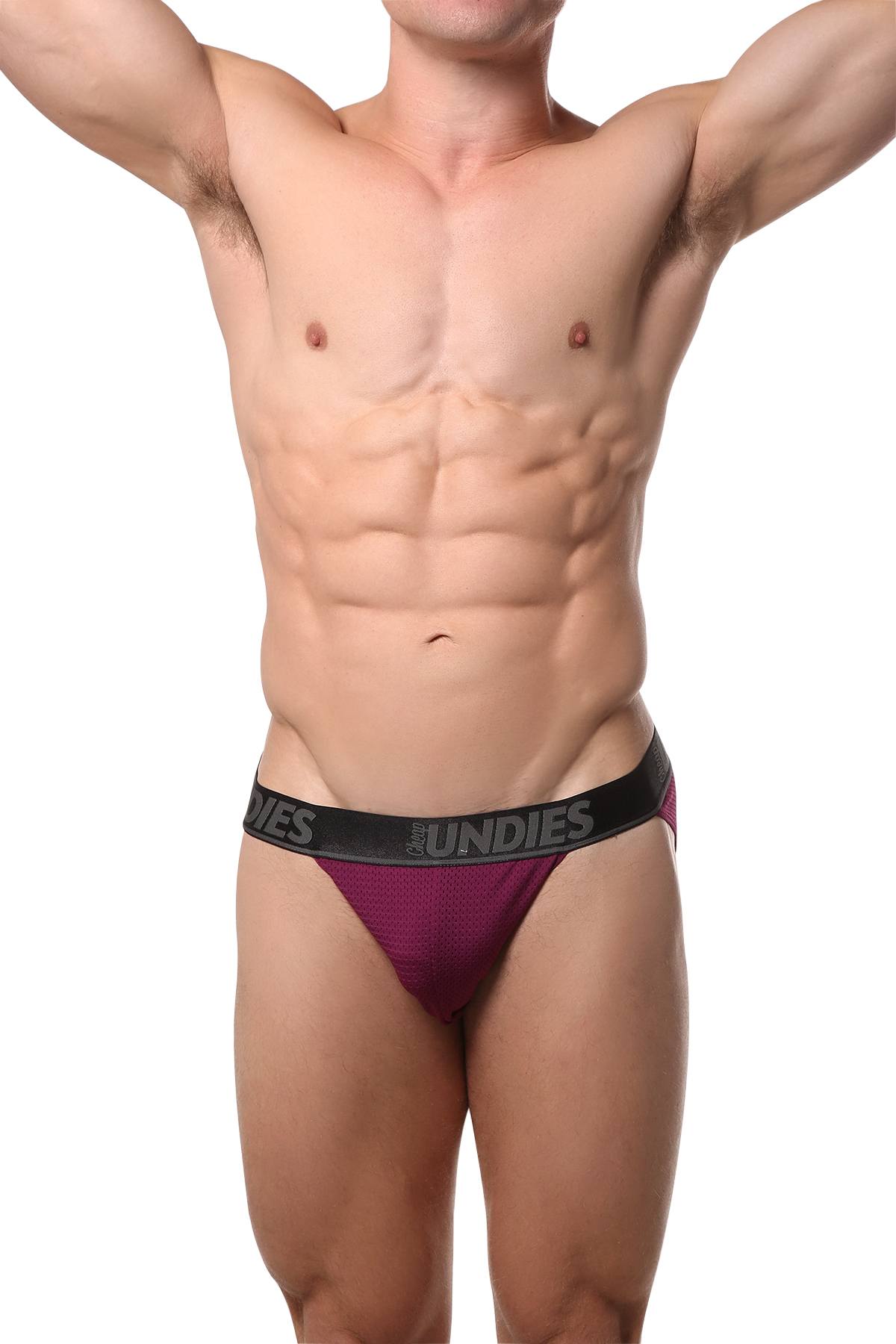 CheapUndies Merlot Mesh Bikini Brief