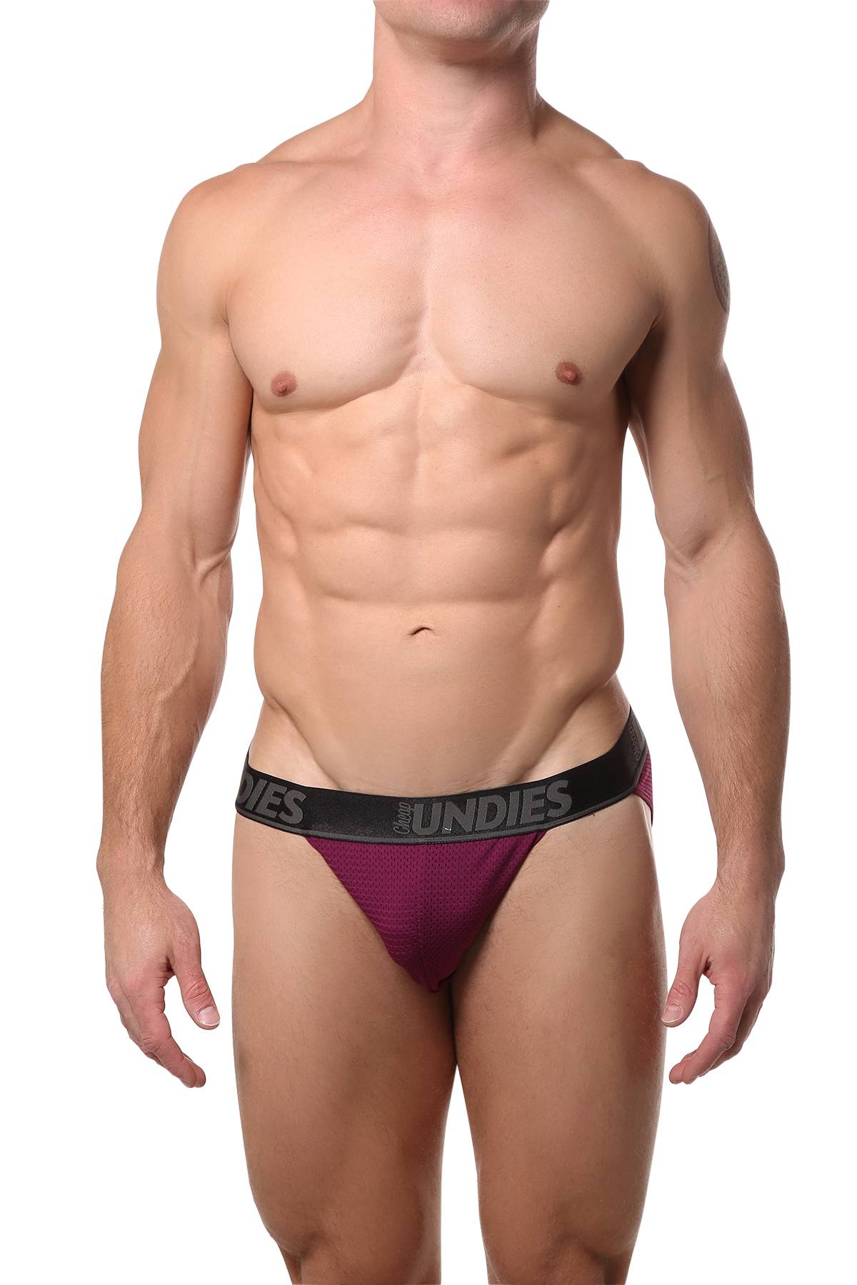 CheapUndies Merlot Mesh Bikini Brief