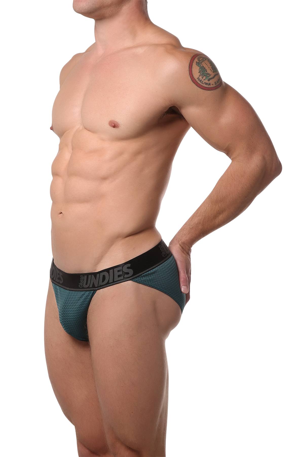 CheapUndies Peacock Mesh Bikini Brief