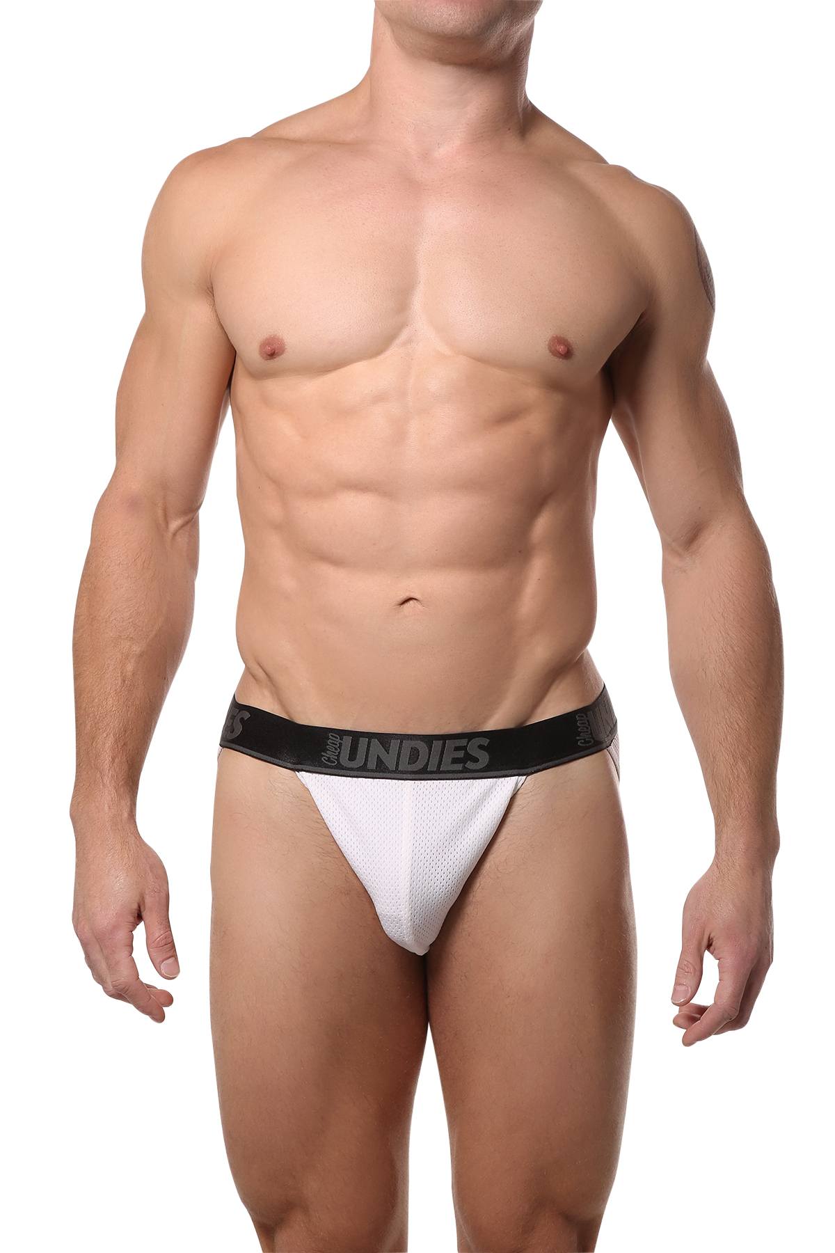 CheapUndies White Mesh Bikini Brief