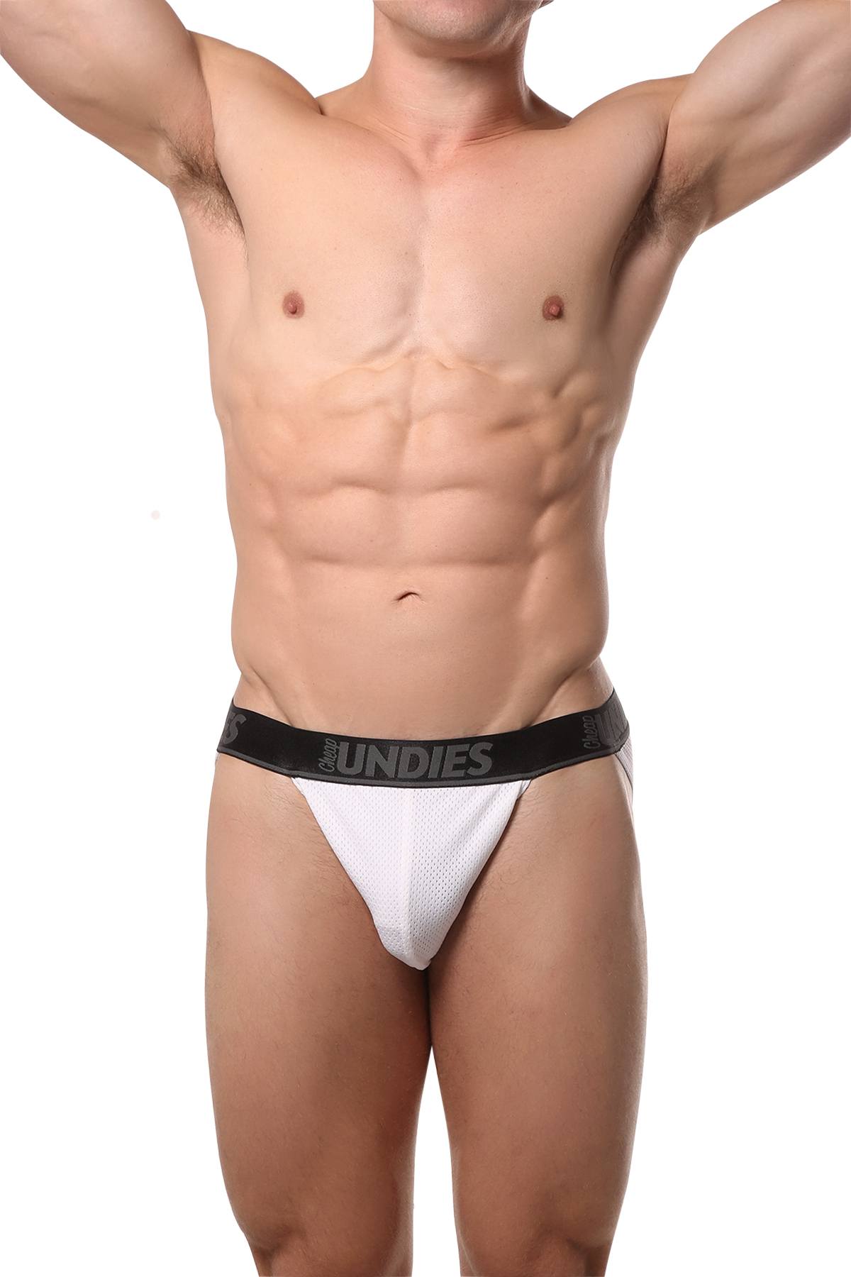 CheapUndies White Mesh Bikini Brief