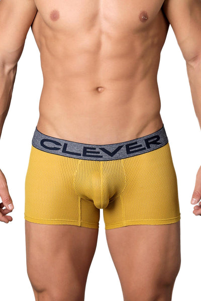 Clever Gold Limited Edition Mesh Trunk