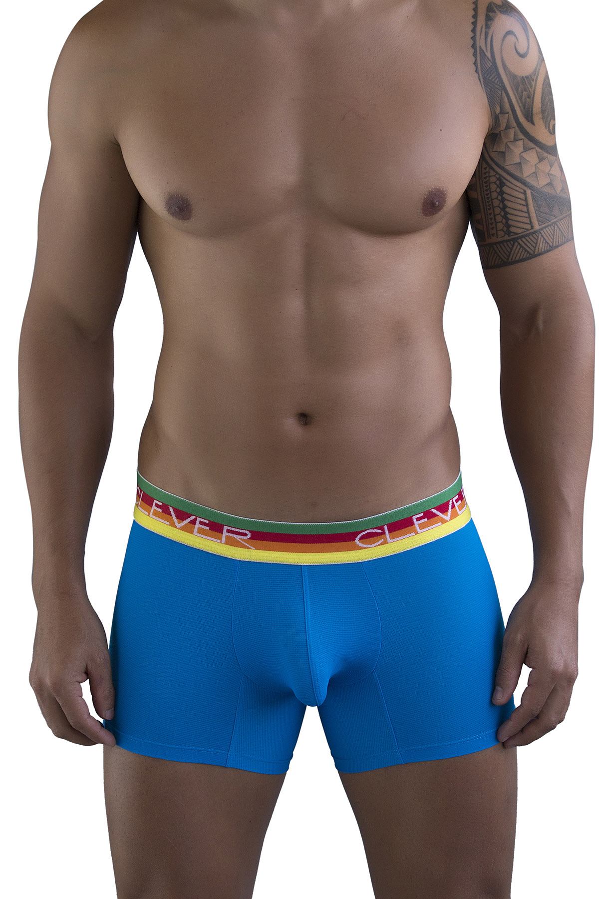 Clever Limited Edition Blue/Rainbow Trunk 219907