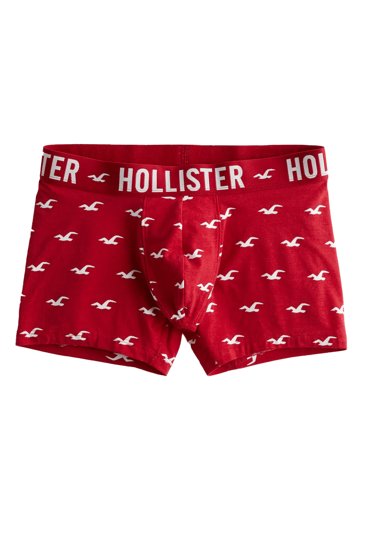 Hollister Classic Boxer Brief – CheapUndies