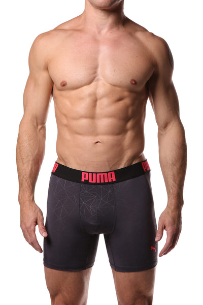 PUMA Grey Geometric Print Boxer Brief