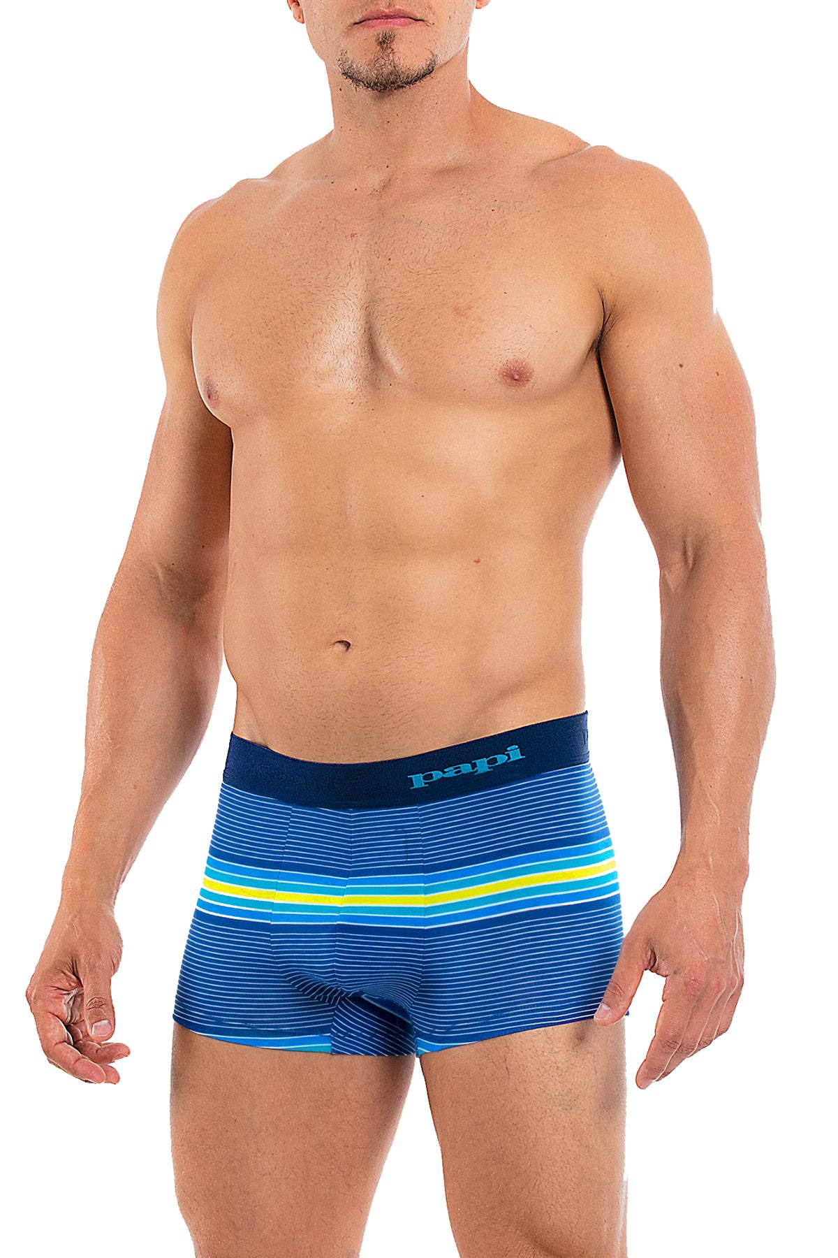 Papi Blue/Barrier-Reef Beachside Stripes Brazilian Trunk