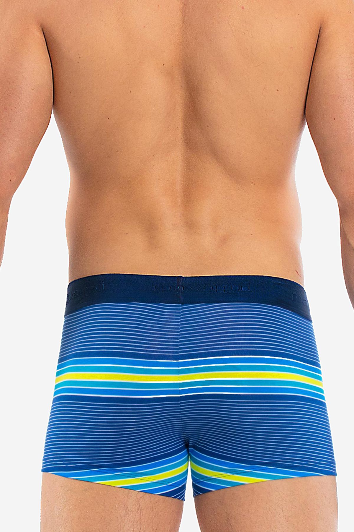 Papi Blue/Barrier-Reef Beachside Stripes Brazilian Trunk