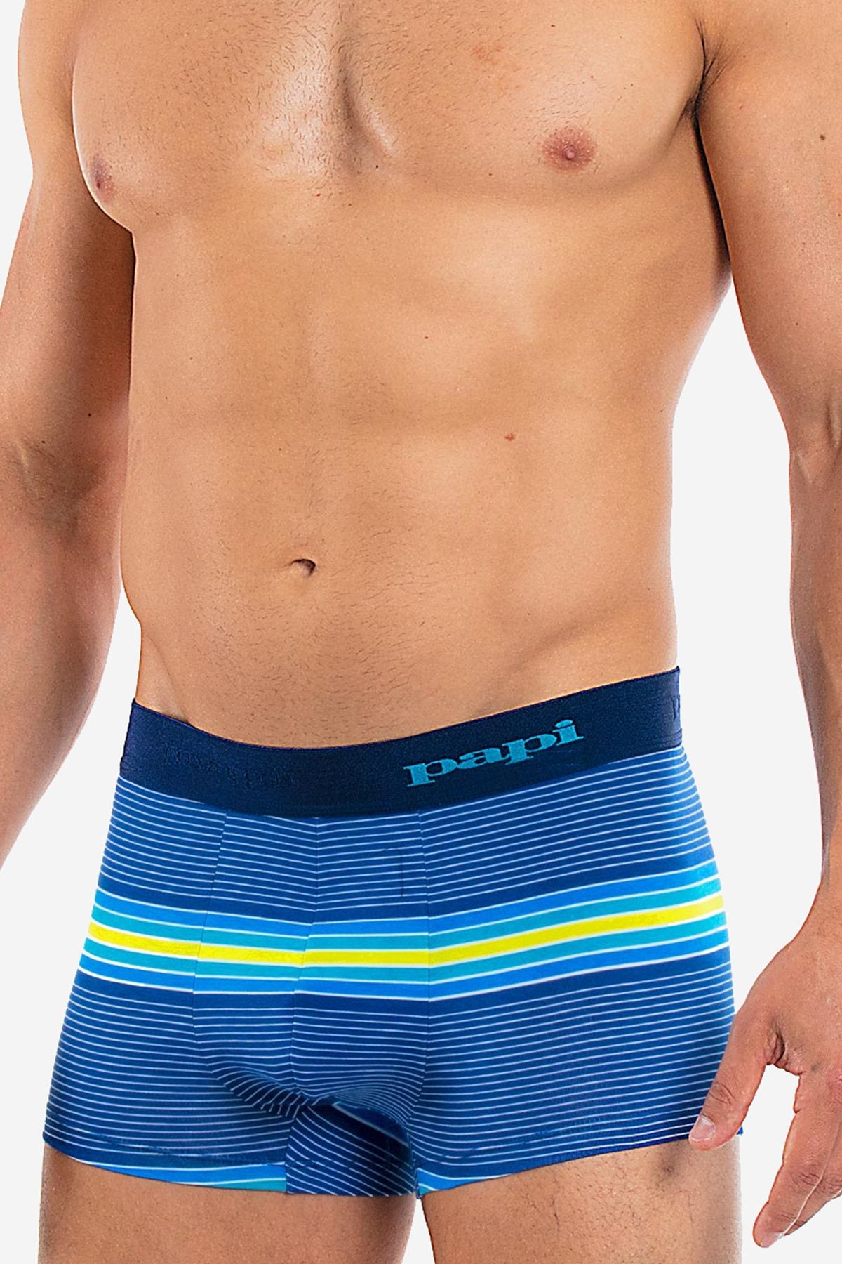 Papi Blue/Barrier-Reef Beachside Stripes Brazilian Trunk